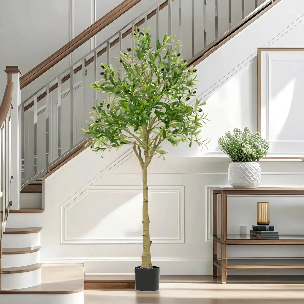 🌿 Mediterranean Olive Tree™