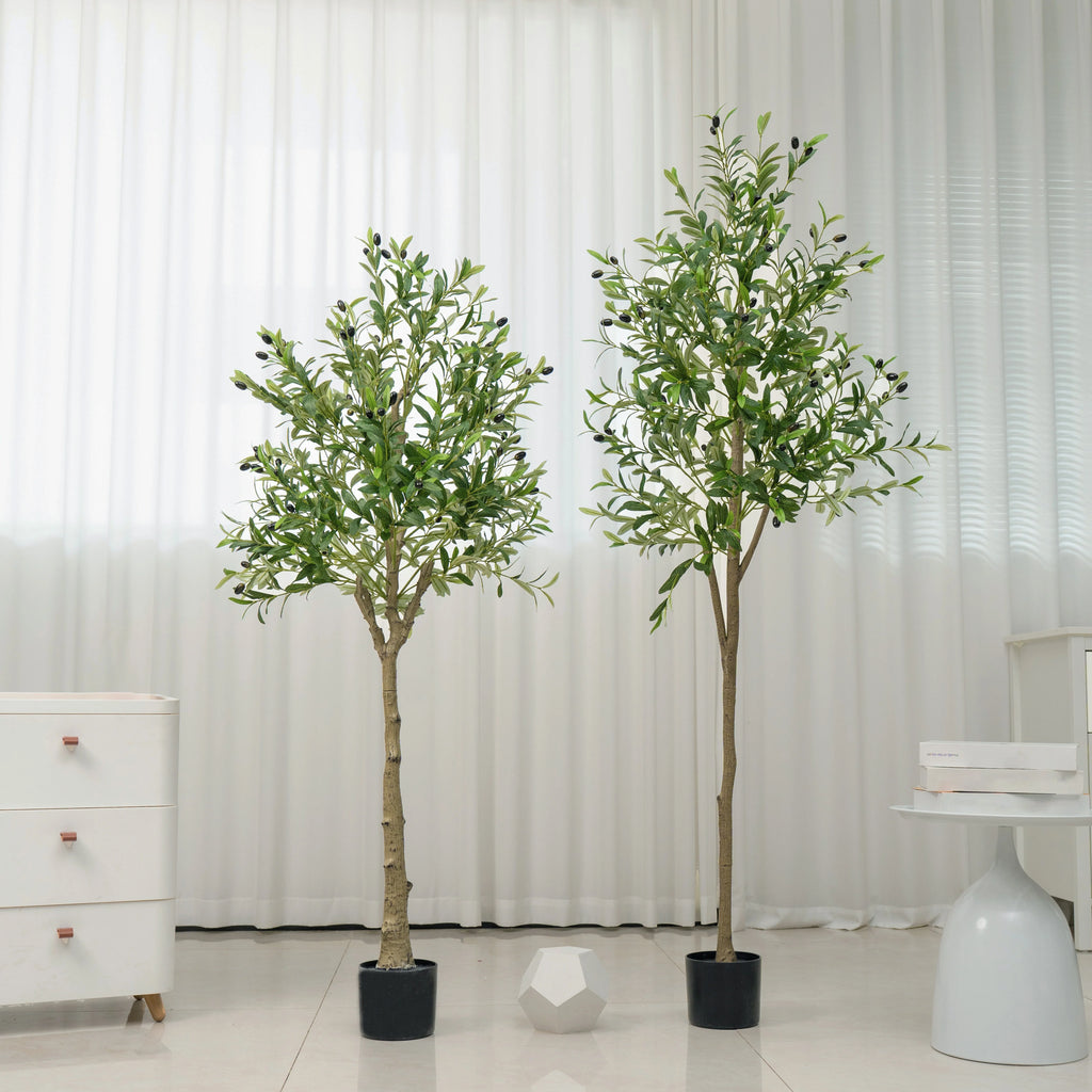 🌿 Mediterranean Olive Tree™