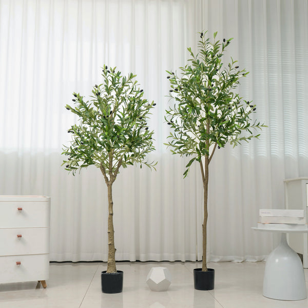 🌿 Mediterranean Olive Tree™