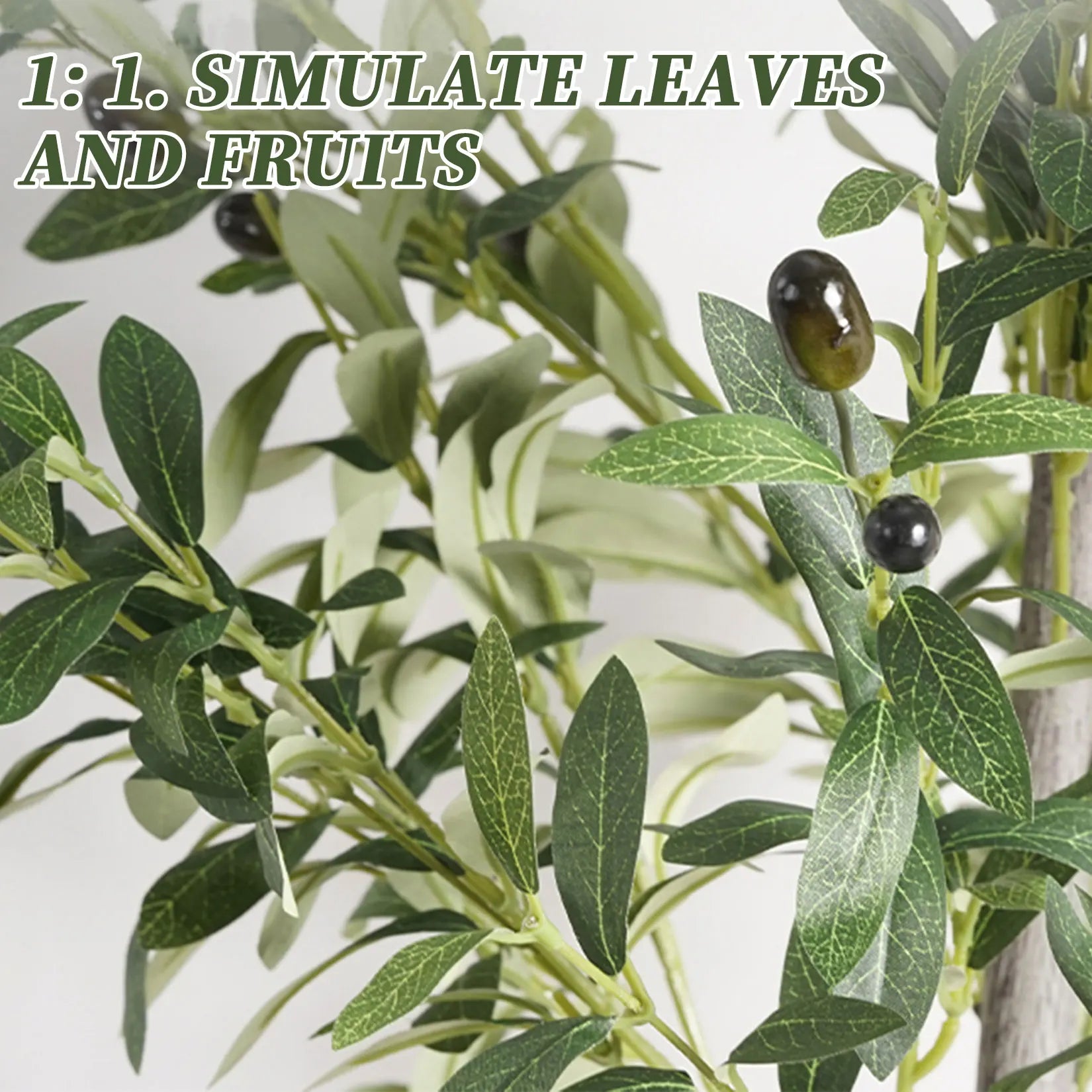 🌿 Mediterranean Olive Tree™