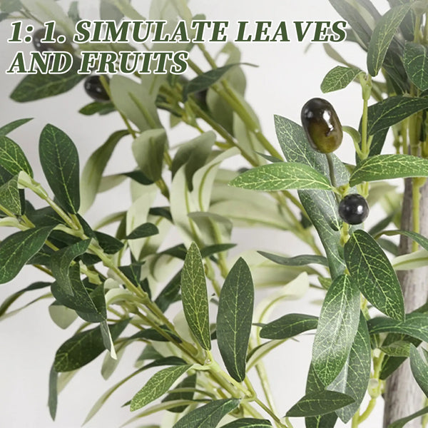 🌿 Mediterranean Olive Tree™