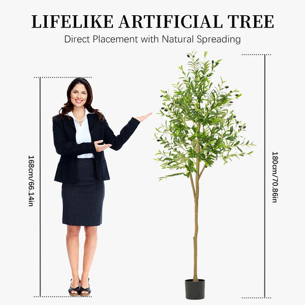 🌿 Mediterranean Olive Tree™