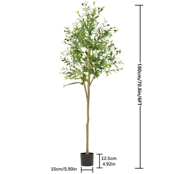 🌿 Mediterranean Olive Tree™