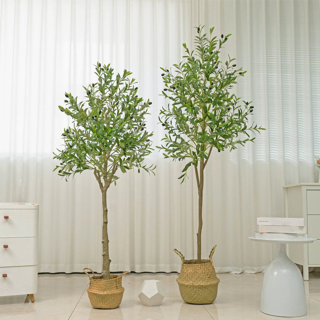 🌿 Mediterranean Olive Tree™