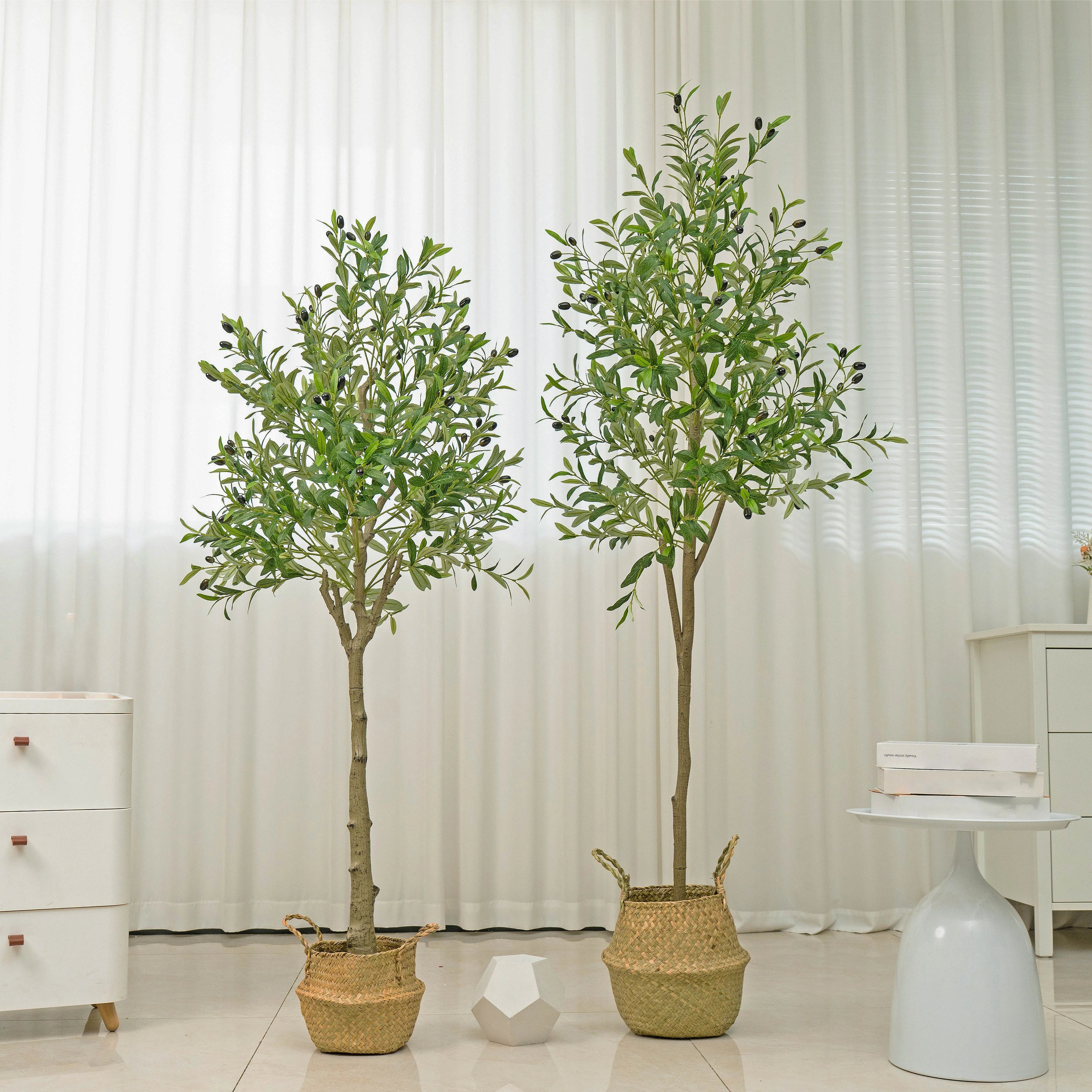 🌿 Mediterranean Olive Tree™