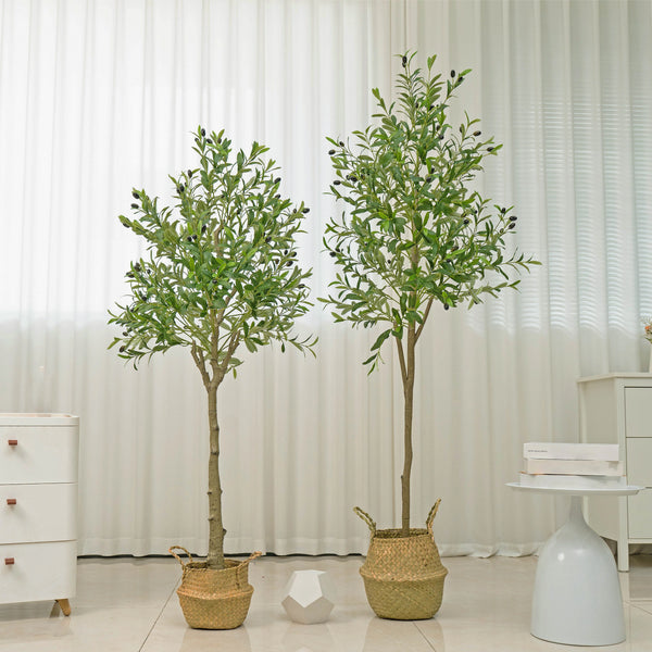 🌿 Mediterranean Olive Tree™