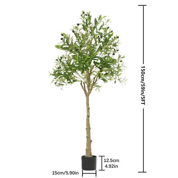 🌿 Mediterranean Olive Tree™
