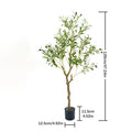 🌿 Mediterranean Olive Tree™