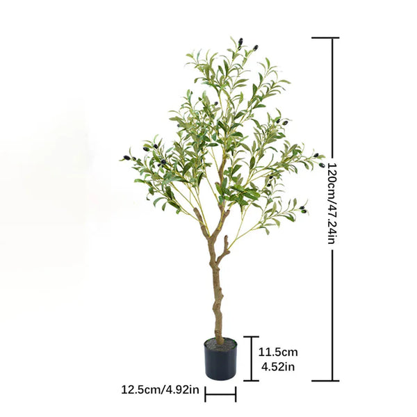 🌿 Mediterranean Olive Tree™